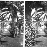 Cover image of Monaco trip, stereo