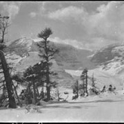 Cover image of From Wilcox Pass, Yellowhead trip