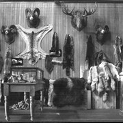 Cover image of Trading Post taxidermy photographs