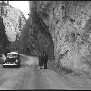 Cover image of [Radium and berry picking]