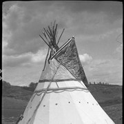 Cover image of [Teepee]