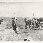 Cover image of Livestock roundups, ranching