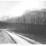 Cover image of View four miles West of Field. 231.