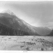 Cover image of Mt. Field. 228.