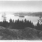 Cover image of 337. H. M. Ships, Esquimalt Harbour