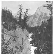 Cover image of Falls three miles West of Field. 229.