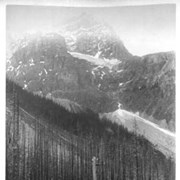 Cover image of Mt. Stephen, East side, showing track and watchman's house. 255.