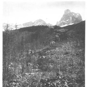 Cover image of Cathedral Mt. 256.