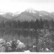 Cover image of Stephen and Cathedral Mts., from near Summit. 29.