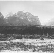 Cover image of Pilot Mt., 3 miles West of Banff. 303.