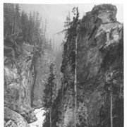 Cover image of View in Albert Canyon. 157.