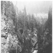 Cover image of View in Albert Canyon. 183.