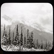 Cover image of Snowstorm on Mt. [Mount] Macdonald