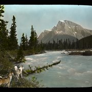 Cover image of Mt. [Mount] Silverhorne [Silverhorn Mountain] & river, Jasper National Park