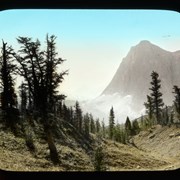 Cover image of [Larches in Wolverine Pass and Rockwall, Kootenay National Park]