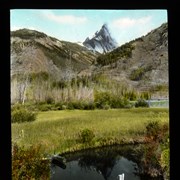 Cover image of [Mount Edith]