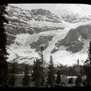 Cover image of [Crowfoot Glacier]