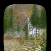 Cover image of [Teepee poles]