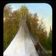 Cover image of A Stoney Indian's Tepee [Teepee] Nestled among the Poplars on the Kootenai [Kootenay] Plains