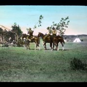 Cover image of Riding in with branches for Sun dance lodge at Morley.  Stoney First Nations