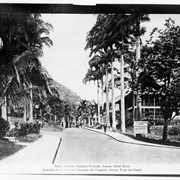 Cover image of Palm Avenue, Hospital Grounds, Ancon, Canal Zone.  Avenida de las Palmas, Terrenos del Hospital, Ancon, Zona del Canal.