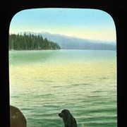 Cover image of [Mr. Muggins on raft at Maligne Lake]