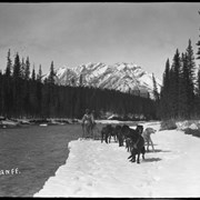 Cover image of Banff