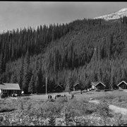 Cover image of [Yoho Bungalow Camp]