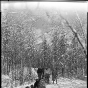 Cover image of Snow Scenes [file title]