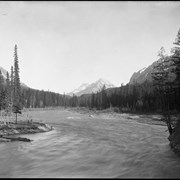 Cover image of [Spray River]