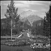 Cover image of Banff Buildings