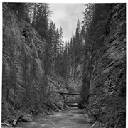 Cover image of Johnston Canyon