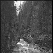 Cover image of Johnston Canyon