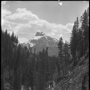 Cover image of Pilot Mountain from Johnston Canyon