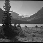 Cover image of Bow Lake and Glacier