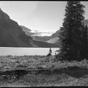Cover image of Bow Lake and Glacier