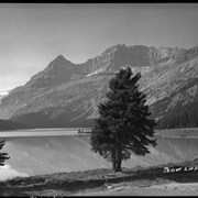 Cover image of Bow Lake