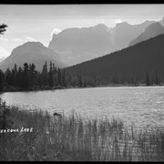 Cover image of Waterfowl Lake