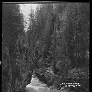 Cover image of Johnsons Canyon [Johnston]