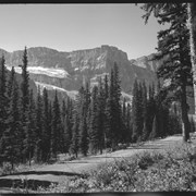 Cover image of Jasper area and Jasper Highway (1940)