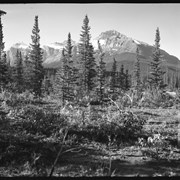 Cover image of Jasper area and Jasper Highway (1940)