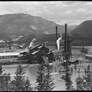 Cover image of The Mill...Golden, B.C.