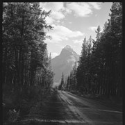 Cover image of Along Banff-Jasper Highway