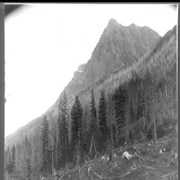 Cover image of 3081. Mount Sir Donald, Rogers Pass