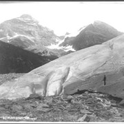 Cover image of 3088. Great Glacier, near Glacier House