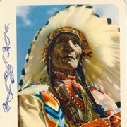 Cover image of Chief Sitting Eagle