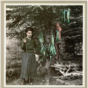 Cover image of The Fish Tree, Elliott Barnes 1907