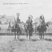 Cover image of Blood Squaws in War Dress