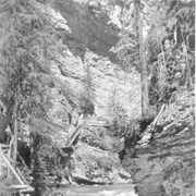 Cover image of Johnson's Canyon