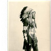 Cover image of Stoney Indian Chief